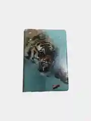 Бирюзовый обложки на паспорт