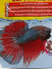 Tetra Betta LarvaSticks корм в форме мотыля для петушков и других лабиринтовых рыб, 5 г