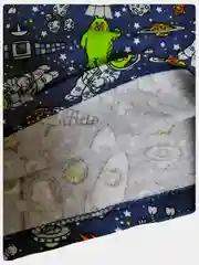 Пижама детская из хлопка с начесом, от 1-10лет. Для мальчиков и девочек