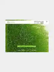 Салатовый чешский бисер Preciosa 10/0, Natural transparent (10, 50 грамм)
