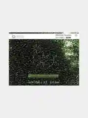 Тёмно-зелёный чешский бисер Preciosa 10/0, Natural transparent (10, 50 грамм)