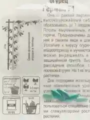 Семена Огурца "Герман" F1 Сибирский сад, 5 штук