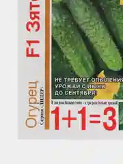 Семена огурца "Зятек F1" Гавриш, 20 штук