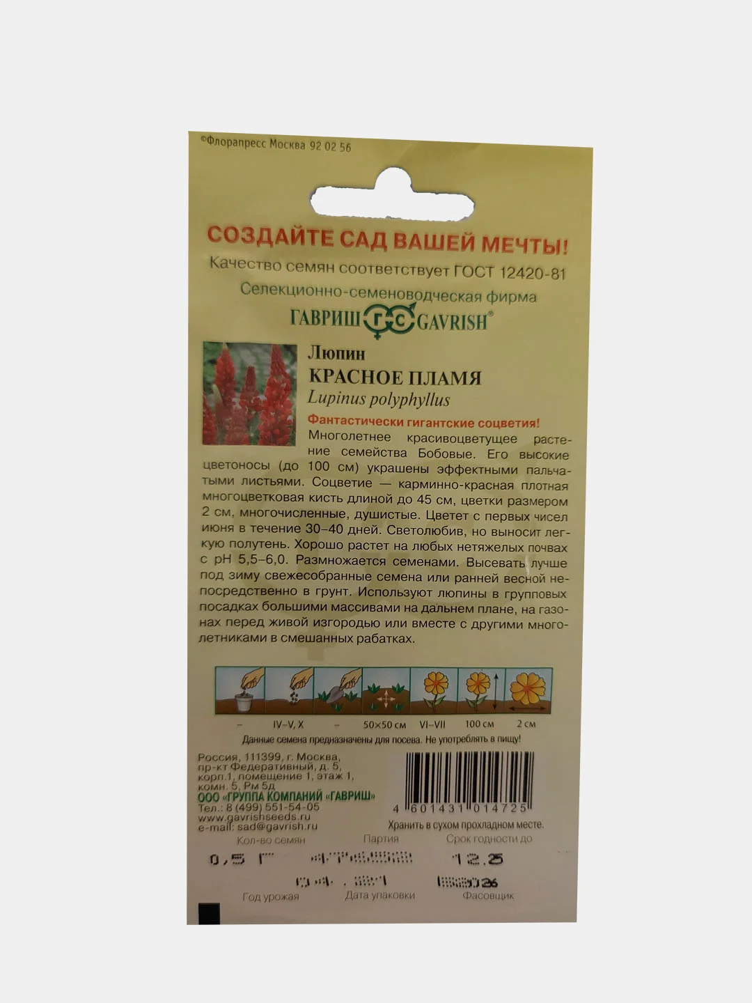 Люпин Красное Пламя (семена)многолетник