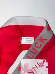 Трусы женские, хлопок