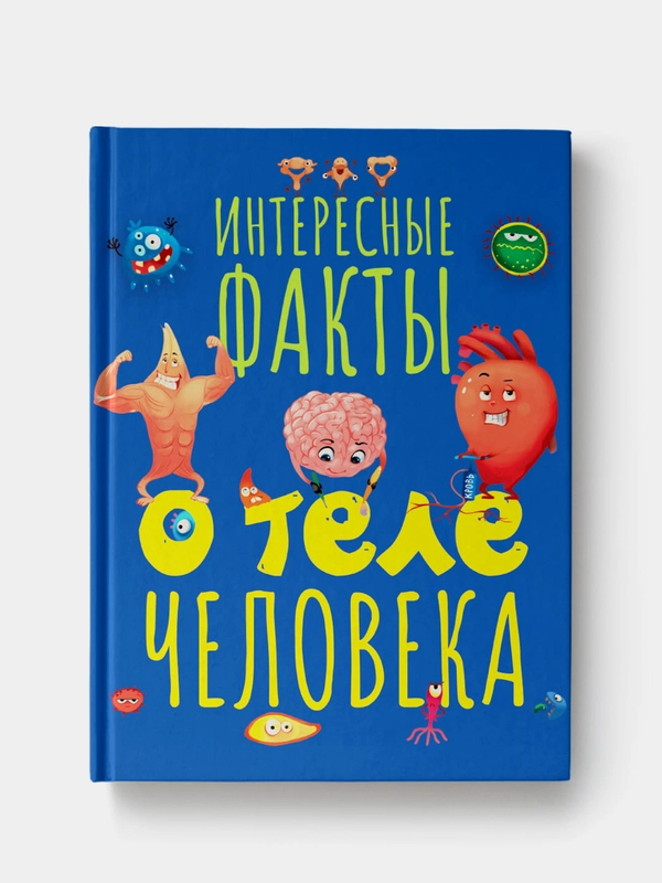 Книга энциклопедия детская "Интересные факты о теле человека" 32 стр. Проф-Пресс