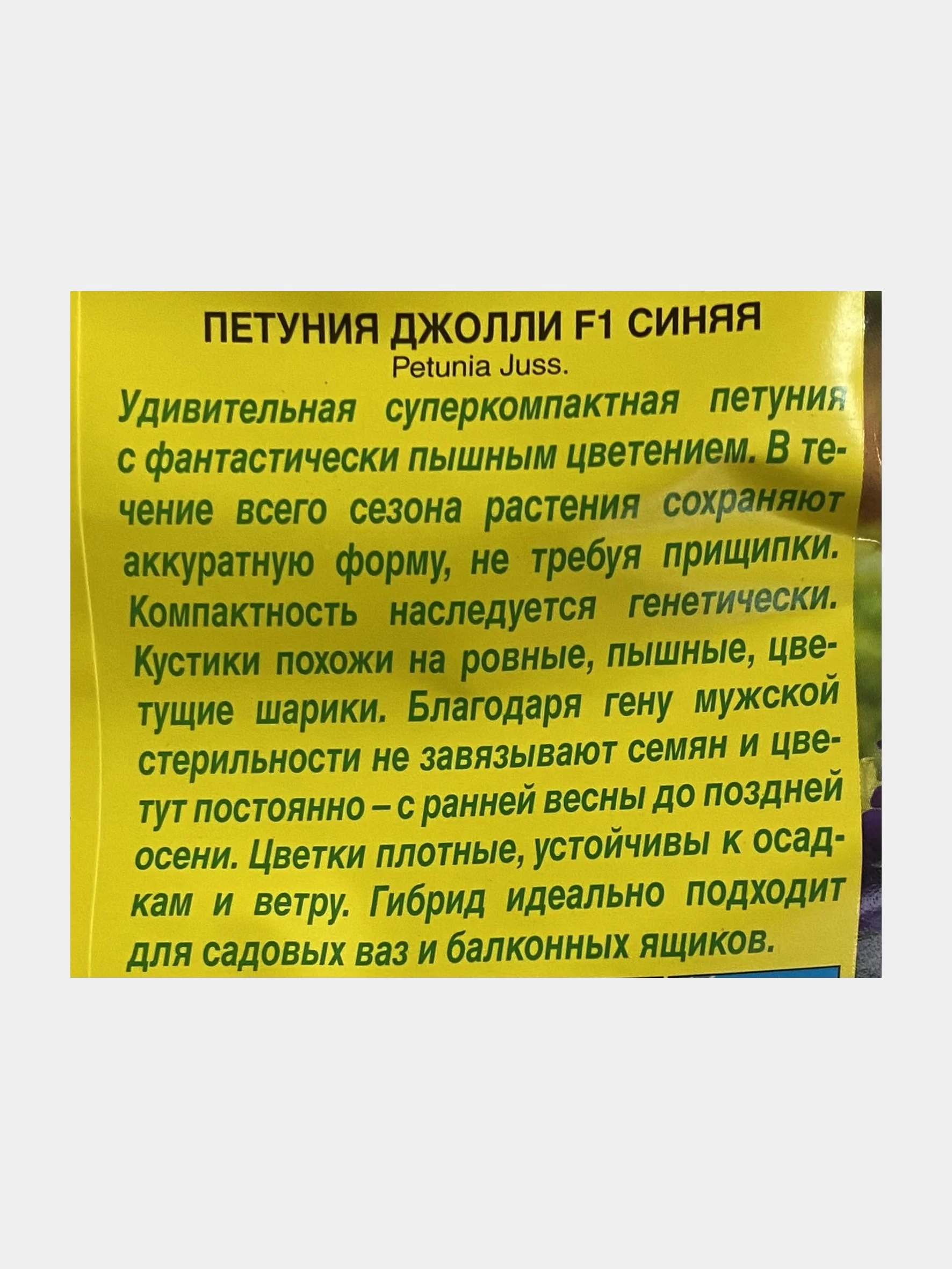 Петуния "Джолли", синяя, семена, цветы
