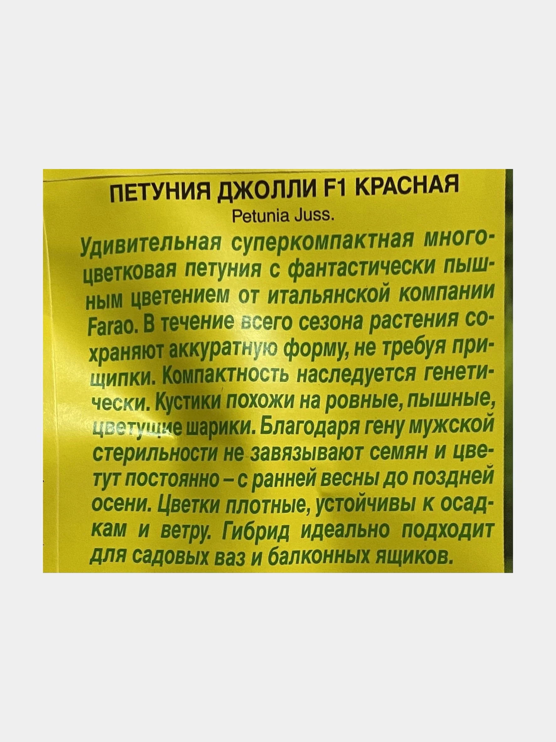 Петуния Джолли красная, семена, цветы