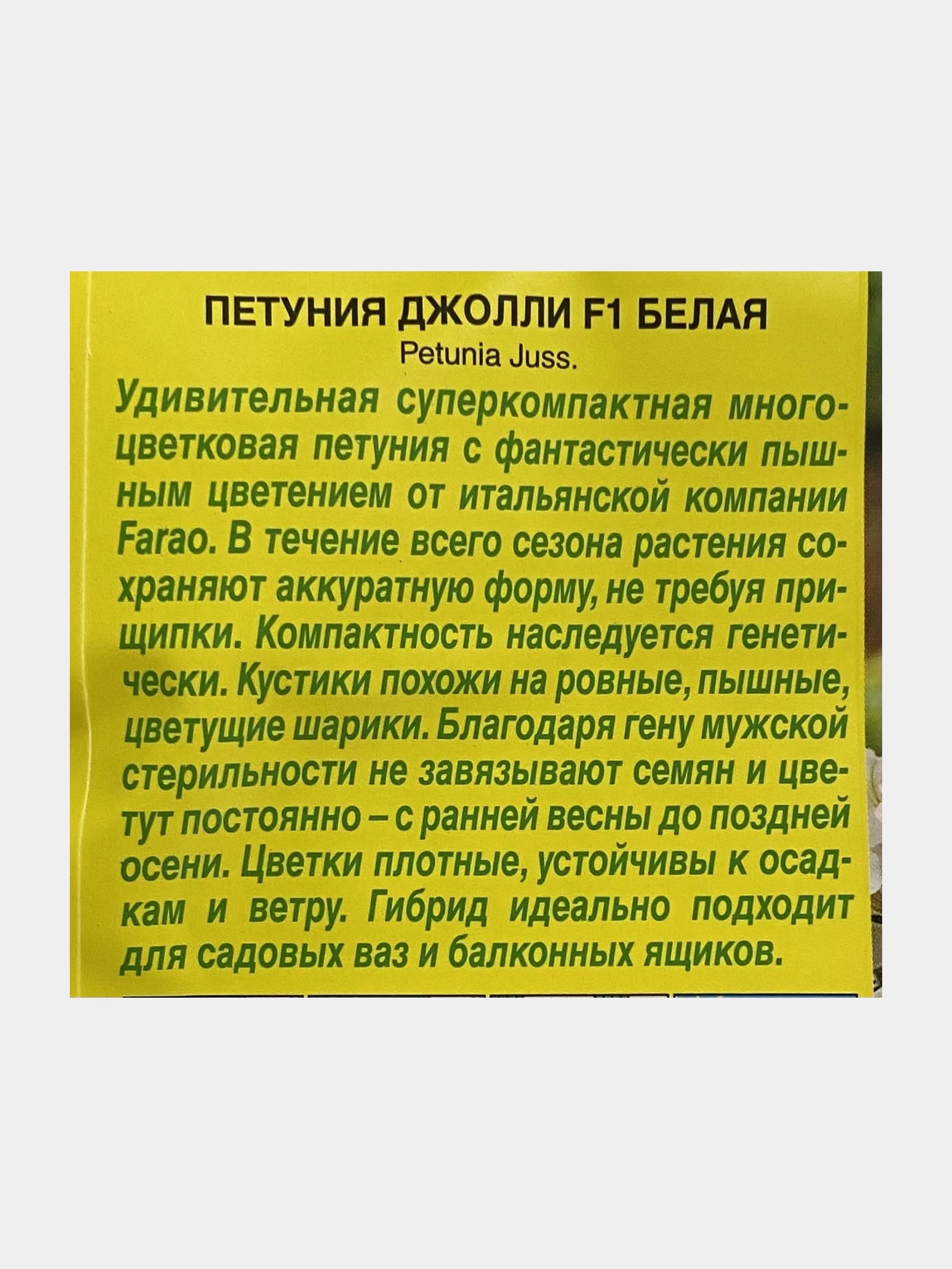 Петуния Джолли белая, семена, цветы