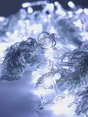 Гирлянда, штора, занавес, светодиодная, 320 LED