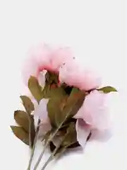 Конфетный цветы  искусственные пион