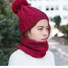 Бордовый комплект: шапка и снуд