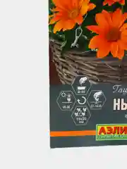 Гацания Нью дэй чистый оранж (семена,цветы)