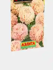 Астра Букетная персиковый цвет (семена,цветы)