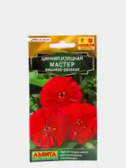 Цинния "Мастер", вишнево-розовая (семена,цветы)