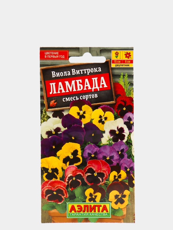 Виола Ламбада виттрока (семена,цветы)