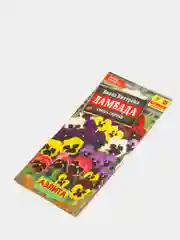 Виола Ламбада виттрока (семена,цветы)