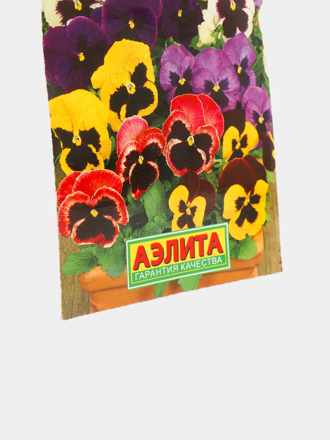 Виола Ламбада виттрока (семена,цветы)