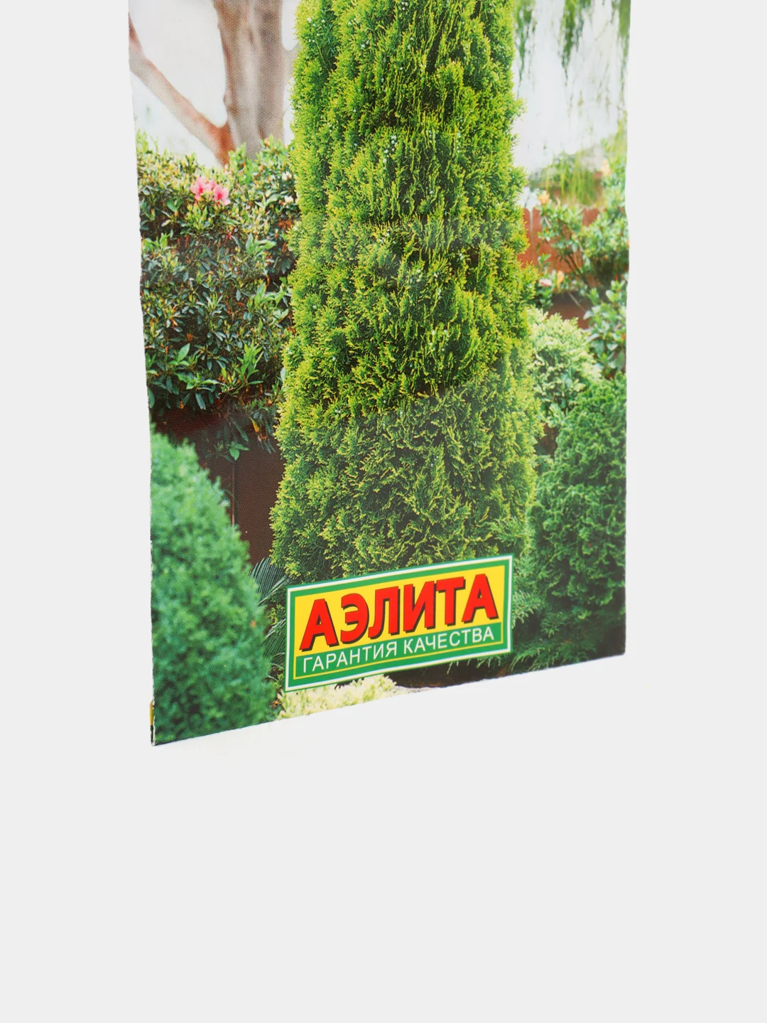 Семена Туя Гармония