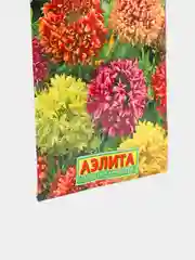 Гайлардия Лорензиана (семена,цветы)