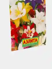 Семена Аквилегия "Маккана Джайнт"