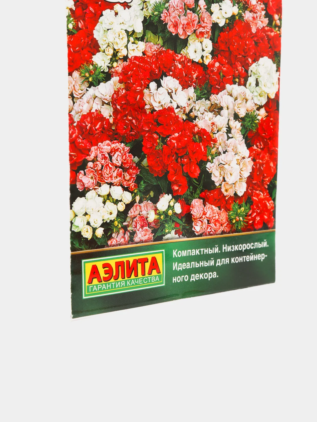 Флокс Промис смесь (семена,цветы)