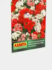 Флокс Промис смесь (семена,цветы)