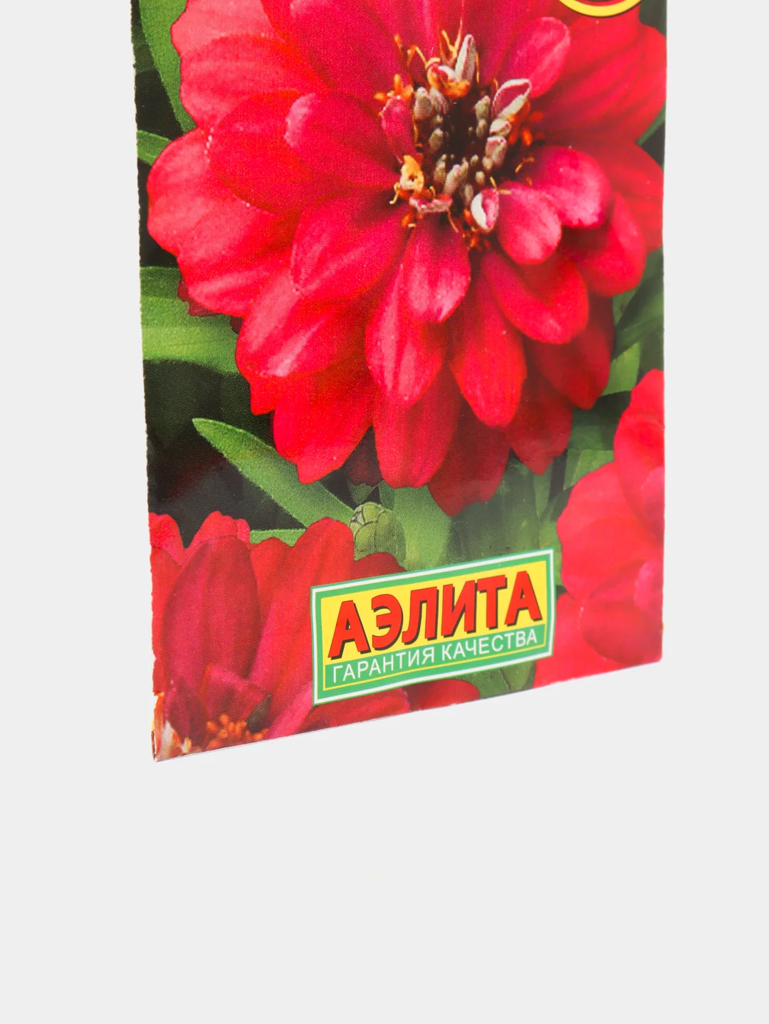 Семена Цинния "Дабл захара", черри