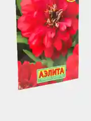 Семена Цинния "Дабл захара", черри