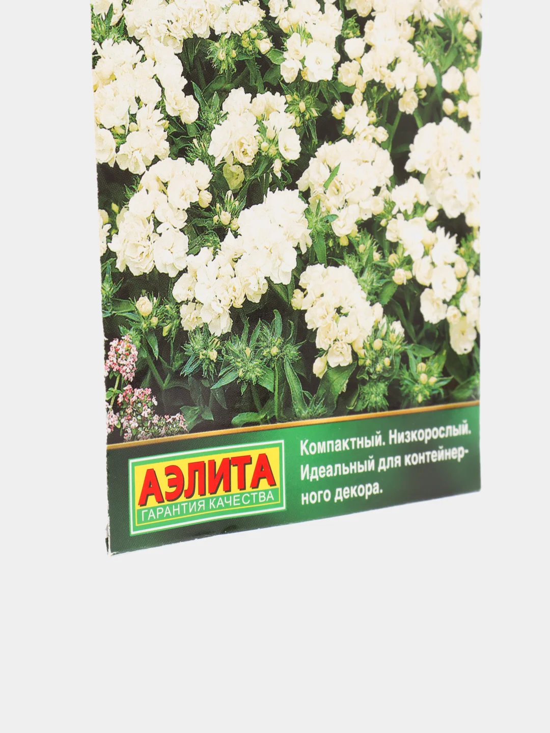 Cемена Флокс "Промис белый", махровый