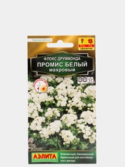 Cемена Флокс "Промис белый", махровый