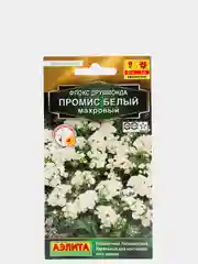 Cемена Флокс "Промис белый", махровый