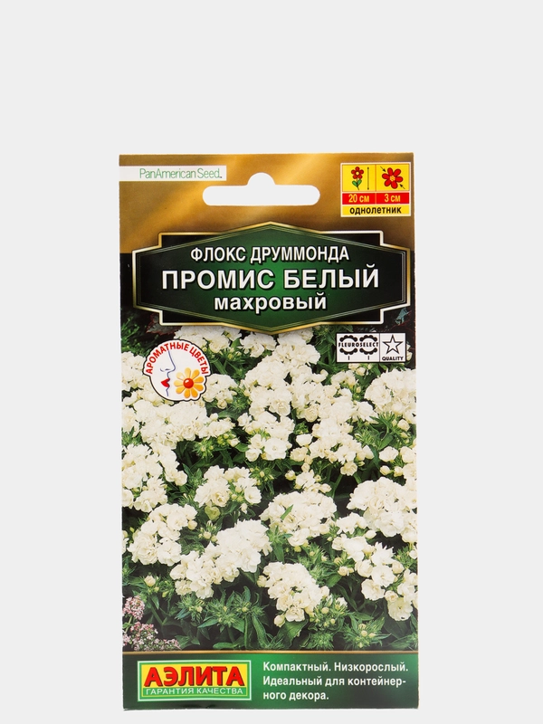 Cемена Флокс "Промис белый", махровый