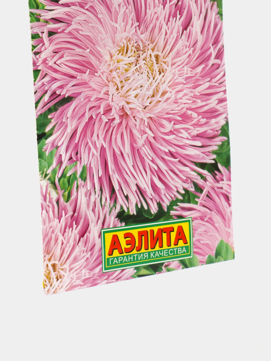 Семена Астра "Гремлин", лавандовая