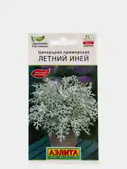 Цинерария Летний иней, семена, цветы