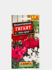 Цикламен Гигант персидский (семена,цветы)