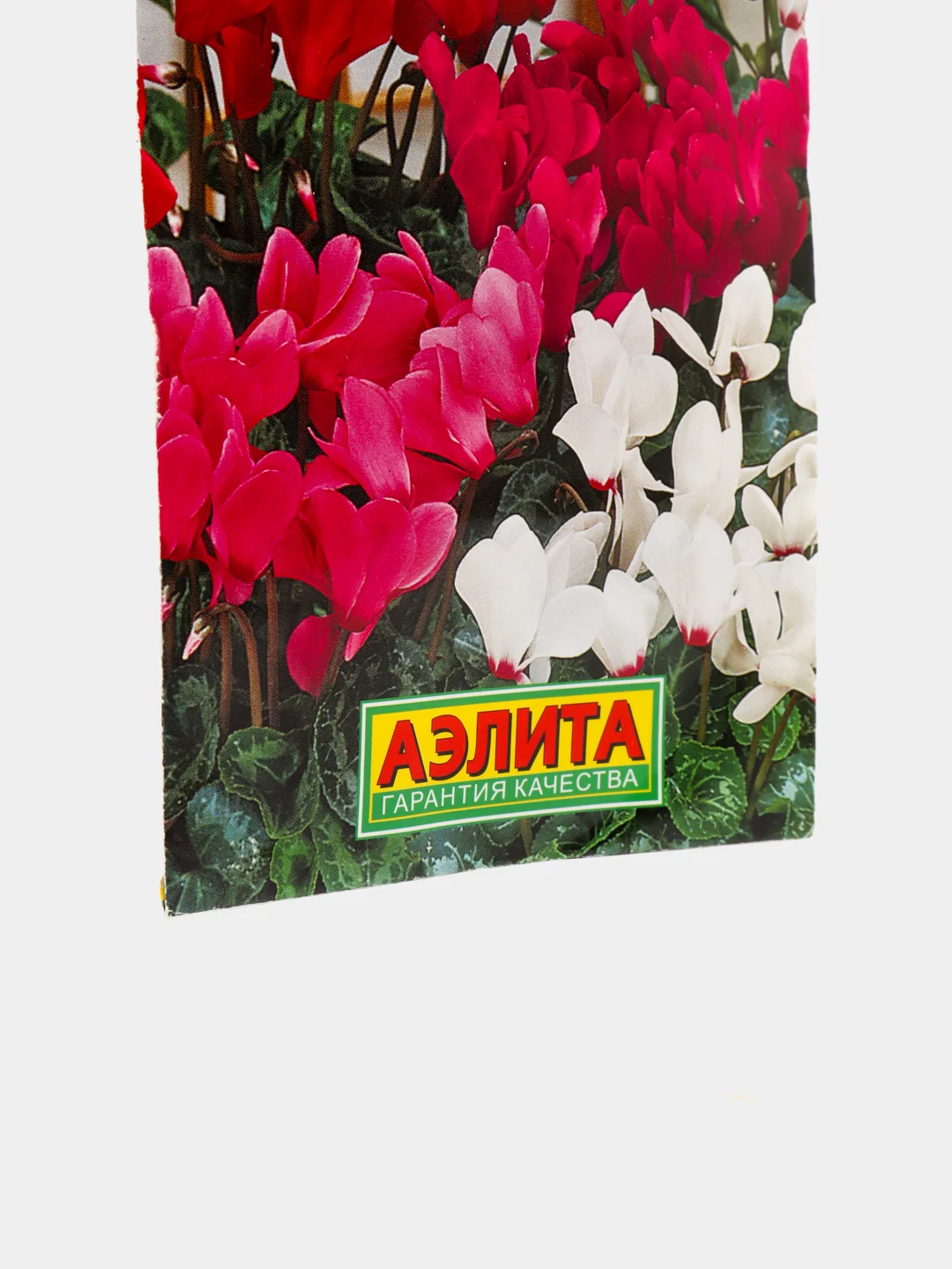 Цикламен Гигант персидский (семена,цветы)