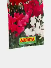 Цикламен Гигант персидский (семена,цветы)