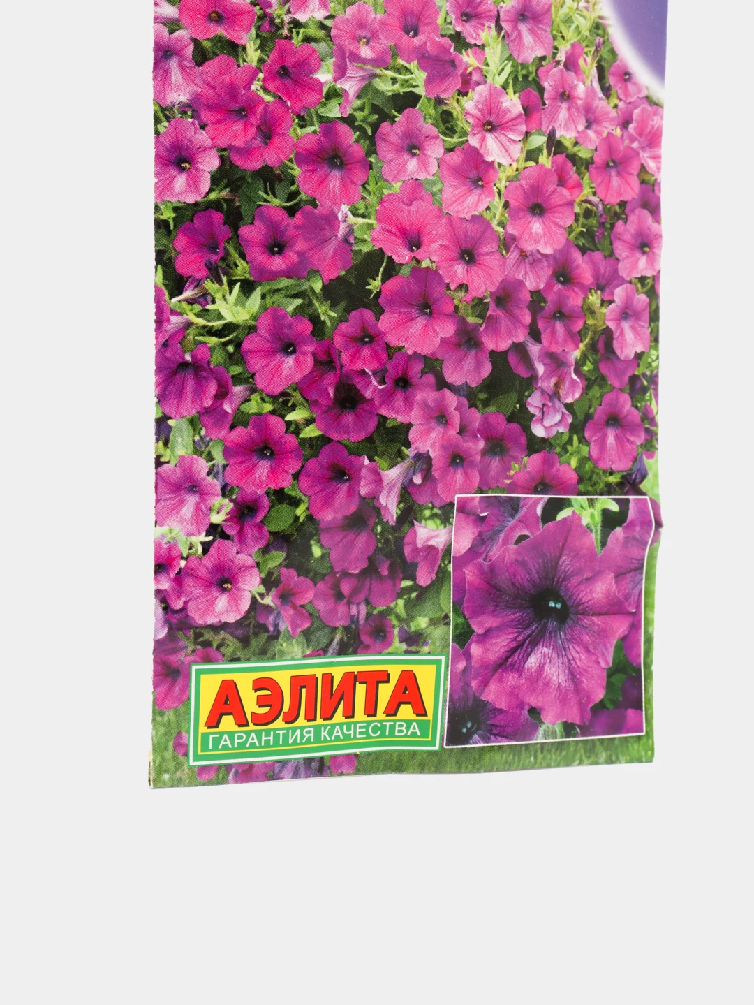 Петуния Изи вейв фиолетовая (семена,цветы)