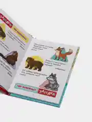 Книга в твёрдом переплёте 100 загадок, 48 стр