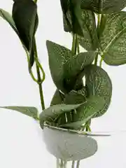 Зеленый искусственные цветы эвкалипт, растения, зелень, букет, для декора, дома, декоративные, 1шт