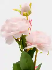 Конфетный искусственные цветы Пион шёлковый, растения, роза 1шт