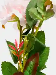 Конфетный искусственные цветы Пион шёлковый, растения, роза 1шт