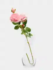 Кораллово-розовый искусственные цветы Пион шёлковый, растения, роза 1шт