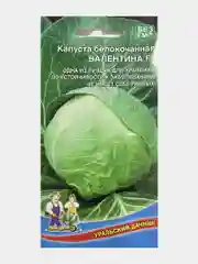 Капуста Валентина, семена
