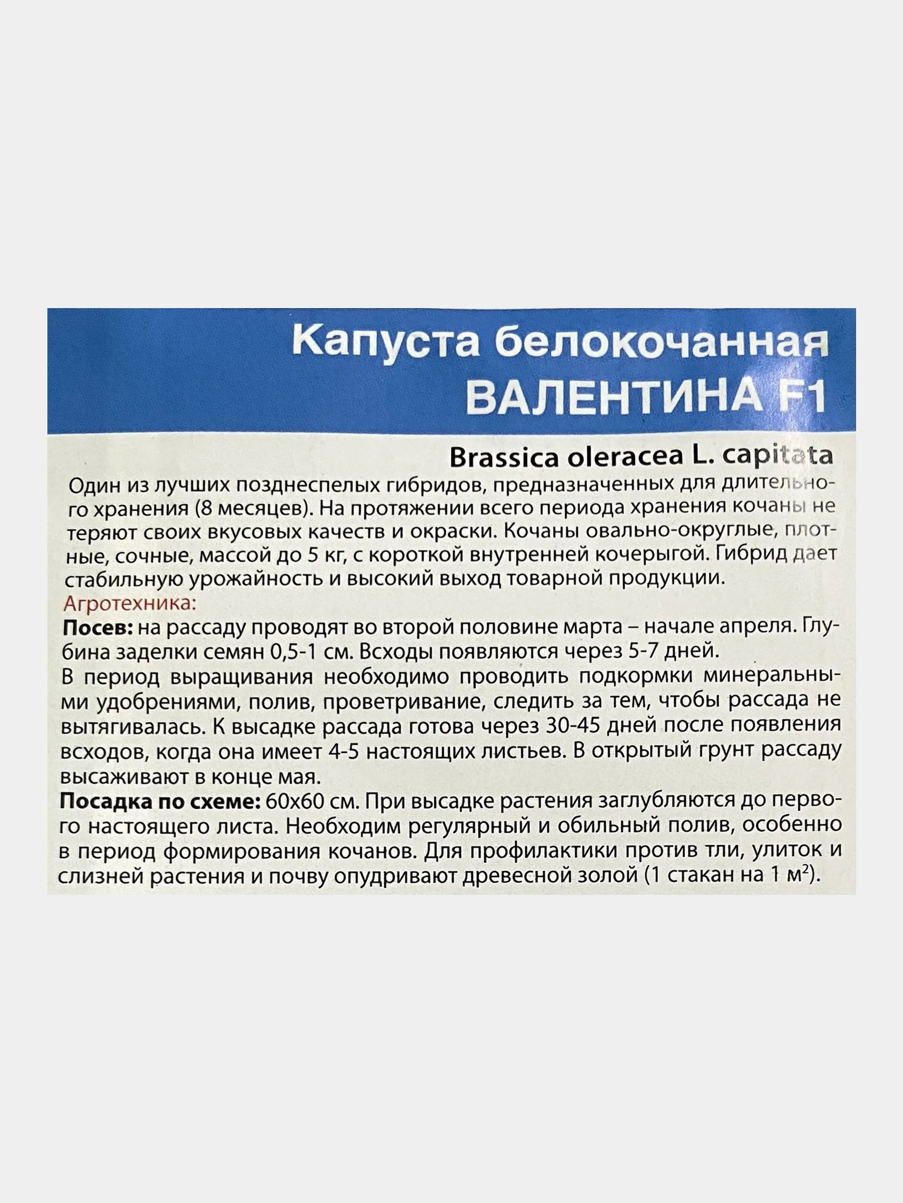 Капуста Валентина, семена