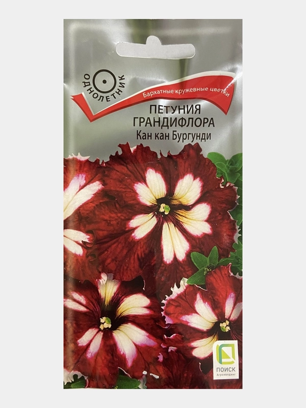 Петуния грандифлора Кан кан Бургунди (семена, цветы)