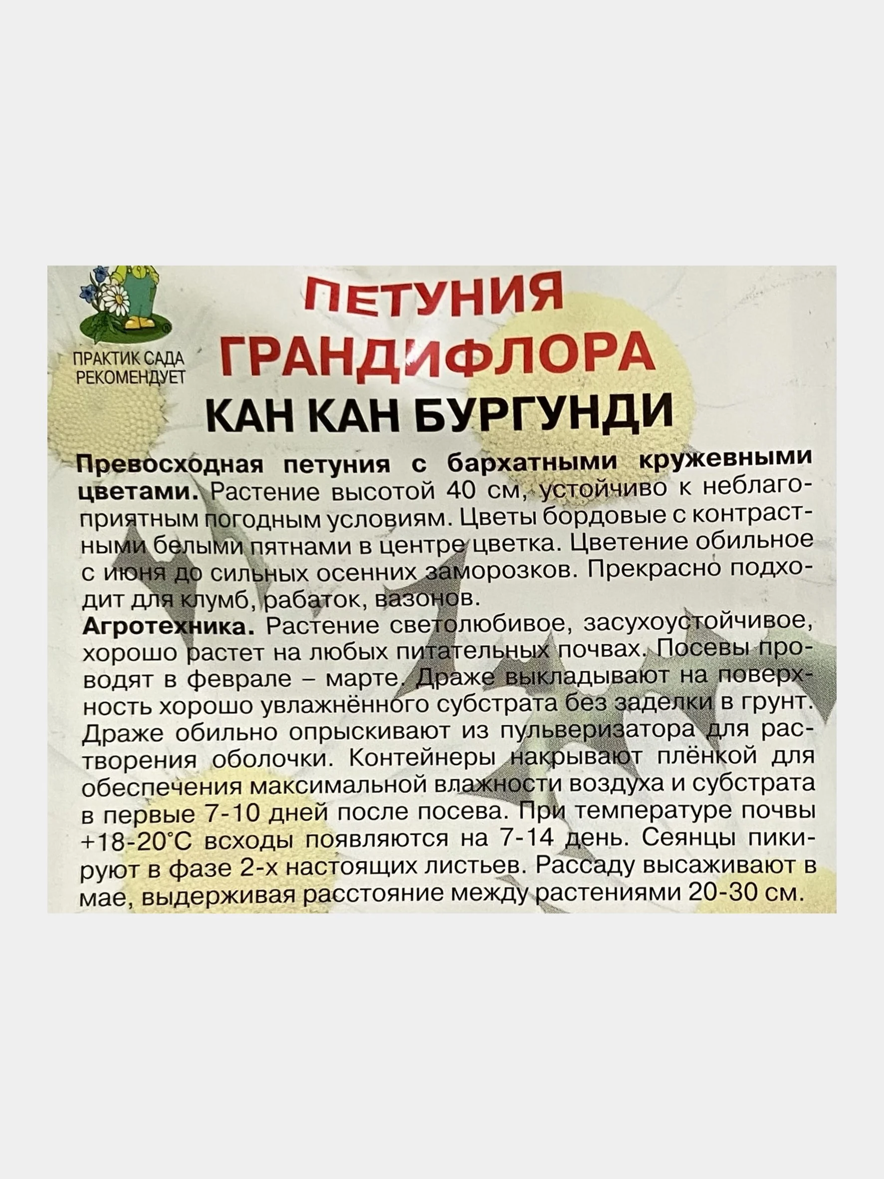 Петуния грандифлора Кан кан Бургунди (семена, цветы)