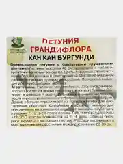 Петуния грандифлора Кан кан Бургунди (семена, цветы)