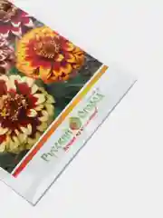 Семена цветов Цинния "Карусель", смесь 0,3 г